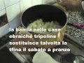 BAMIA tbeha bel Bamia