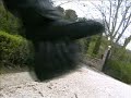 2008 Aprilia SMV750 Dorsoduro walk around and onboard teaser