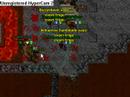 Tibia
