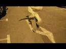 Kevin Skate