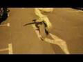 Kevin-Skate