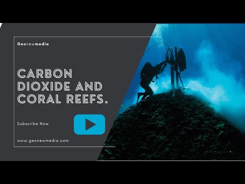 how to isolate carbon dioxide