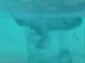 Cocteau Twins - Essence Cocteau Twins - Essence