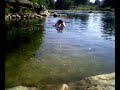 Lock ness monster Lock ness monster