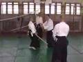 VI Aikido Summer School of Aikikai Serbia