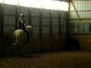 lexy riding zippi