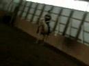 lexy riding zippi