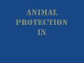 TLAC - To PAWtect and Serve