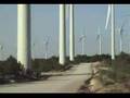 FULLEDA - TARRES , MONSTRES ECOLÒGICS