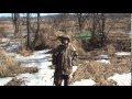 Watch This Deer Hunting Video