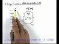 Charge-Induction-in-Metals-Due-to-Electric-Field