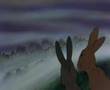 Watership Down - Unten am Fluss - Missing