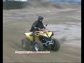 Renegade 800 Renegade 800