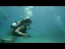 buceo isla mujeres