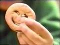 Giggles Cookies 1980's commercial