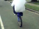 Longest Wheelie