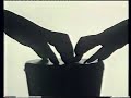THE LOVER BONGO TITLES