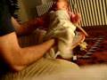 Colic? Not a problem for baby Boeremusiek lovers!