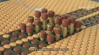 video thumbnail 3H MASSAGE BED youtube