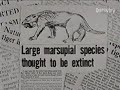 mysterious world cryptozoology 1 of 3