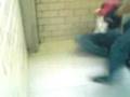 pelea del siglo ajajajajaj