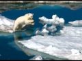 Polar Obsession - Paul Nicklen