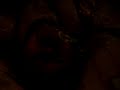 MOV06256.MPG
