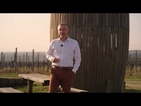 Video Prodej RD 4+1 Stavěšice