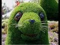 Montereal  jardinitis.com