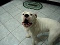 Boxer wants to talk