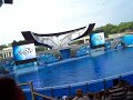 Seaworld 2007