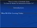 Niche Marketing - Internet Marketing Tips