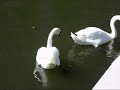 Ausflug nach Putbus auf der Insel Rügen