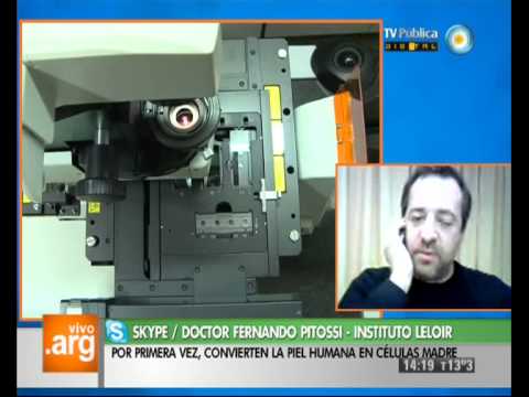 vivo - Hablamos con el Dr. Fernando Pitossi, investigador del CONICET e integrante del Instituto Leloir, quien nos cuenta de qué se trata el nuevo avance de la cien...
