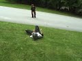 Terrible Roller Blade Accident - WARNING: GRAPHIC IMAGES!!! Terrible Roller Blade Accident - WARNING: GRAPHIC IMAGES!!!