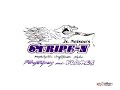 Go-Kustom TV - Pinstriper JR. Nelson Go-Kustom TV - Pinstriper JR. Nelson