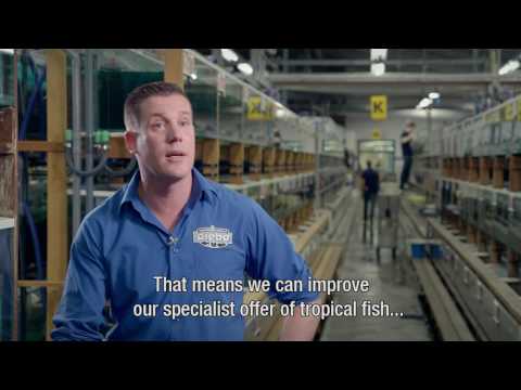 Jeroen Rowaan over Ruinemans Group