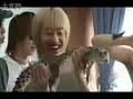 Super Junior and Alligators Super Junior and Alligators