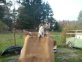 Asta, Bloxi, Farao a kachna