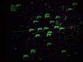 Philadelphia Air Traffic Control