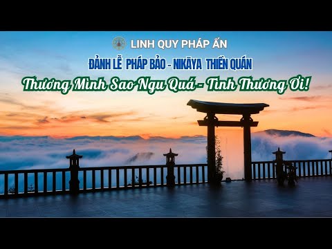 Nghi thức NIKAYA - Đảnh Lễ Pháp Bảo - Thương Mình Sao Ngu Quá - Tình Thương Ơi! *
