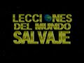 el grupo de la diversidad