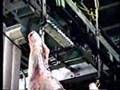 videos de High Accuracy In-Motion Monorail Scale