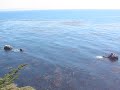 Esalen - Summer 2007