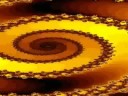 ADN - Canni ADN - Canni