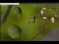 runescape sliding egg glitch