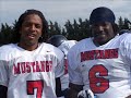 Les Mustangs