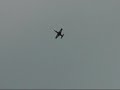 RC Jet Savex L39 Albatross RC Jet Savex L39 Albatross