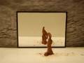 shadowplay