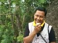 09_des_2008 (bukit nglanggeran wisata minat khusus) 09_des_2008 (bukit nglanggeran wisata minat khusus)